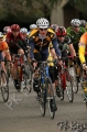 UCDCrit05_1315