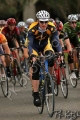 UCDCrit05_1316