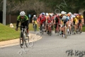 UCDCrit05_1334