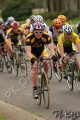 UCDCrit05_1346