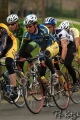 UCDCrit05_1384