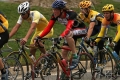 UCDCrit05_1501