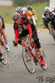 UCDCrit05_1955