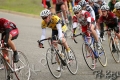 UCDCrit05_2005
