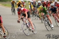 UCDCrit05_2025
