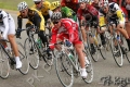 UCDCrit05_2058