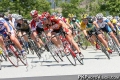 SJCrit05_6103