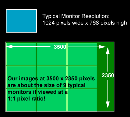 original vs. monitor